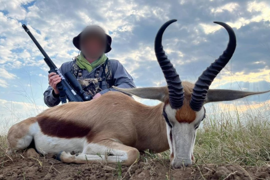 SPRINGBUCK: NORMAL - Jahensu Safaris